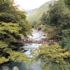 徳島県の「日本秘湯を守る会」の会員宿