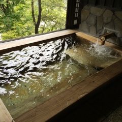 露天風呂付客室のある宿  ～「日本秘湯を守る会」の会員宿